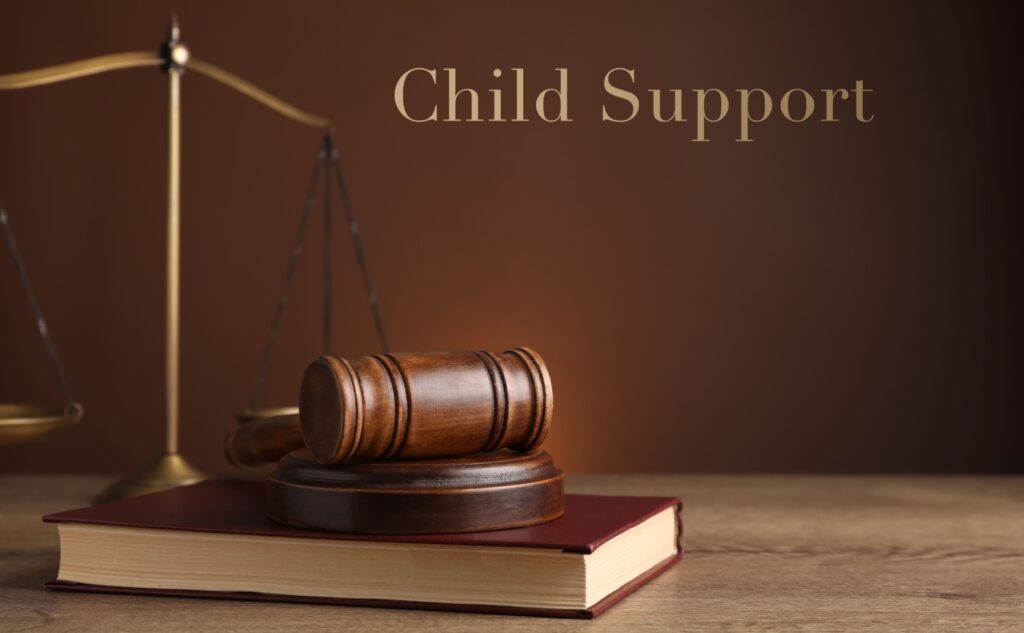 What is the new law on child maintenance in South Africa?